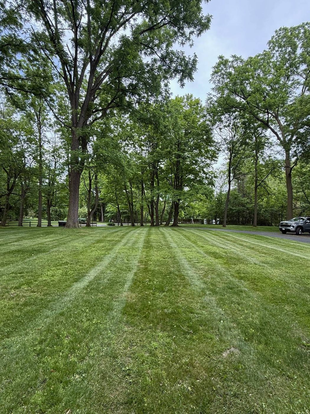 Park lawn mowed in tight stripes around mature trees and a walking path